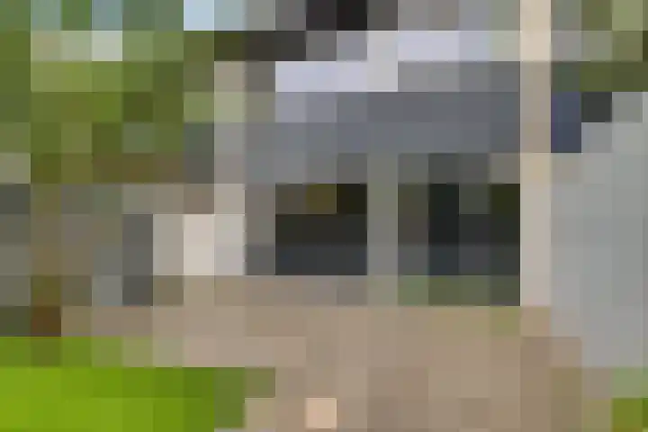 Hoitingeslag 39 Emmen thumbnail 31