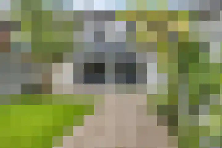 Hoitingeslag 39 Emmen thumbnail 33