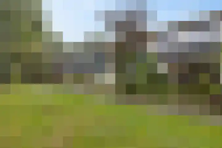 Hoitingeslag 39 Emmen thumbnail 4