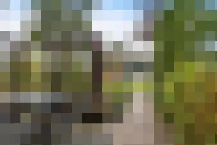 Hoitingeslag 39 Emmen thumbnail 5
