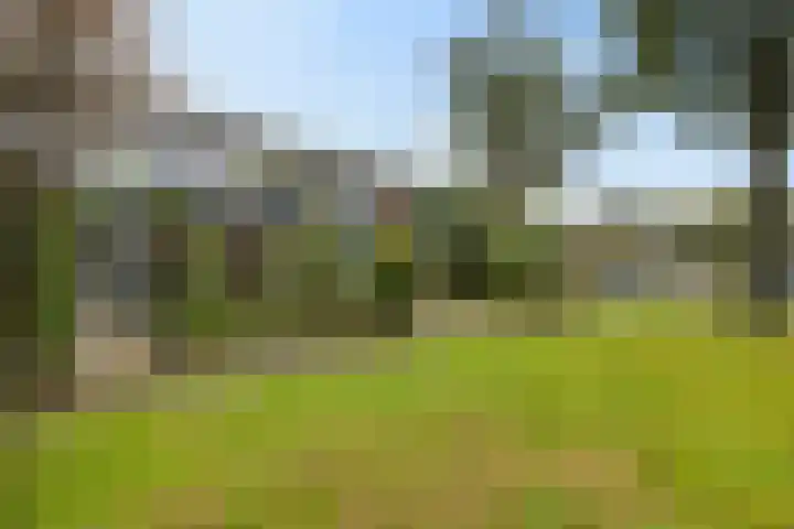 Hoitingeslag 39 Emmen thumbnail 6