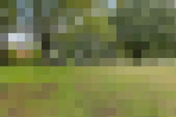 Hoitingeslag 39 Emmen thumbnail 7