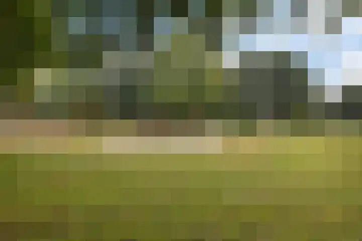 Hoitingeslag 39 Emmen thumbnail 8