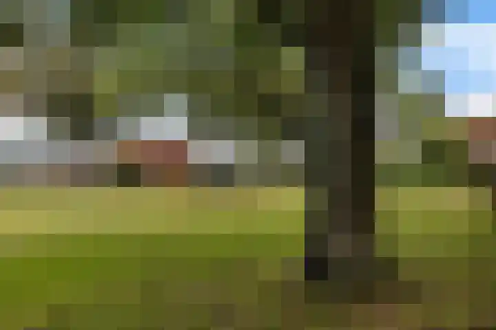 Hoitingeslag 39 Emmen thumbnail 9