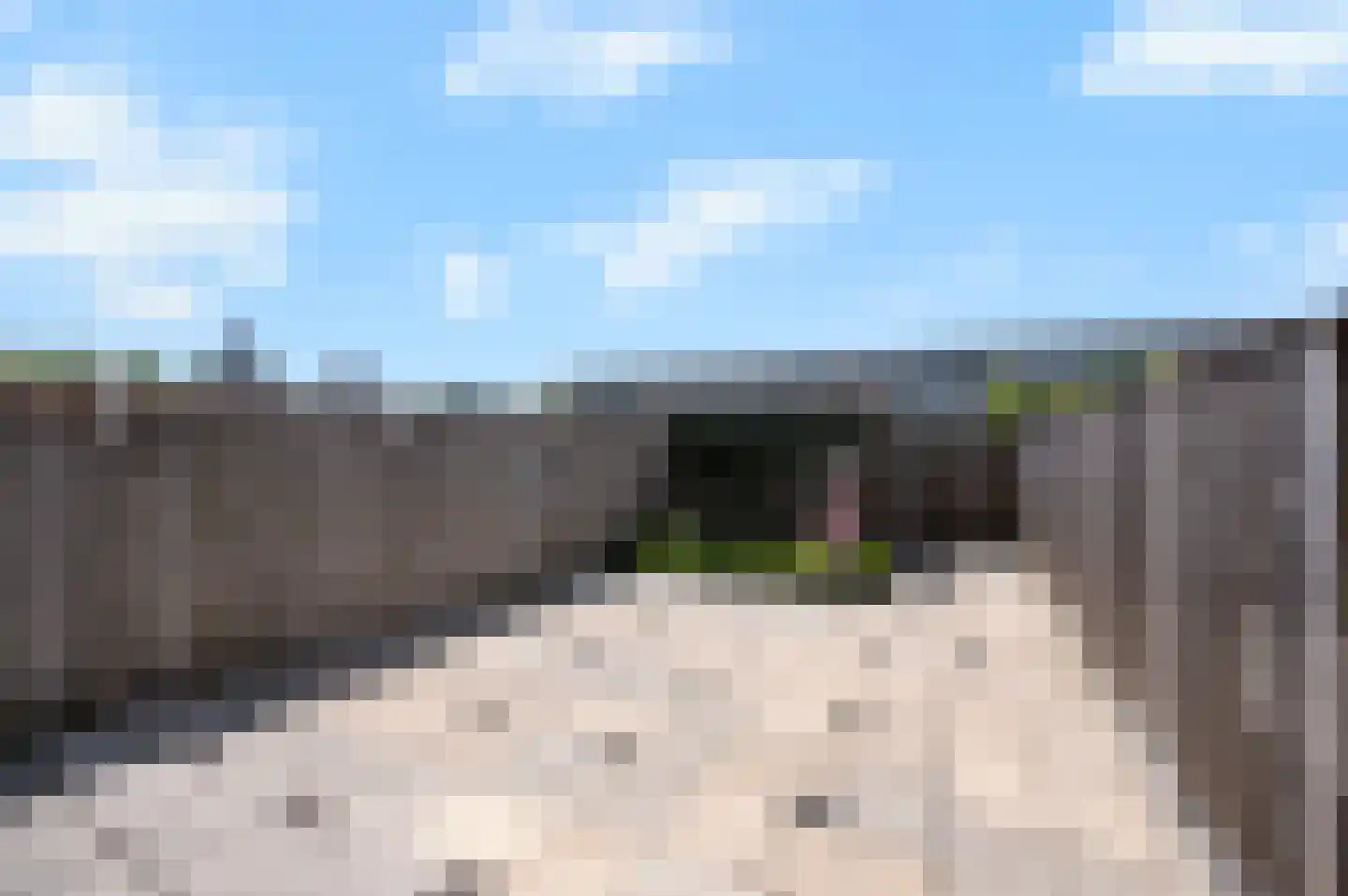 Holbeinstraat 14 Almere thumbnail 13