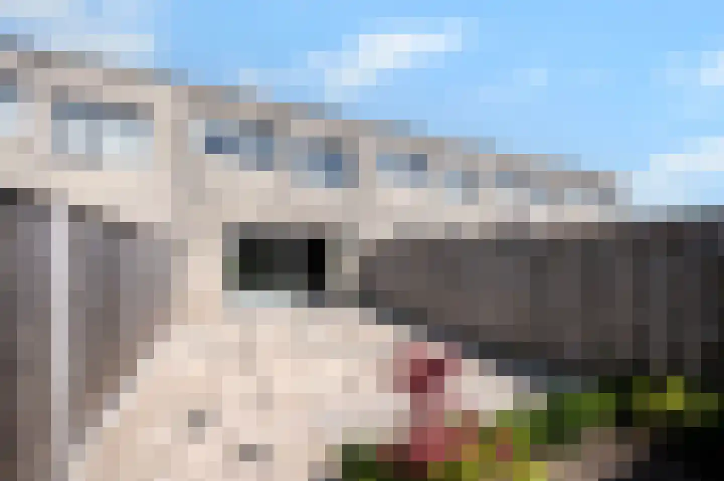 Holbeinstraat 14 Almere thumbnail 14