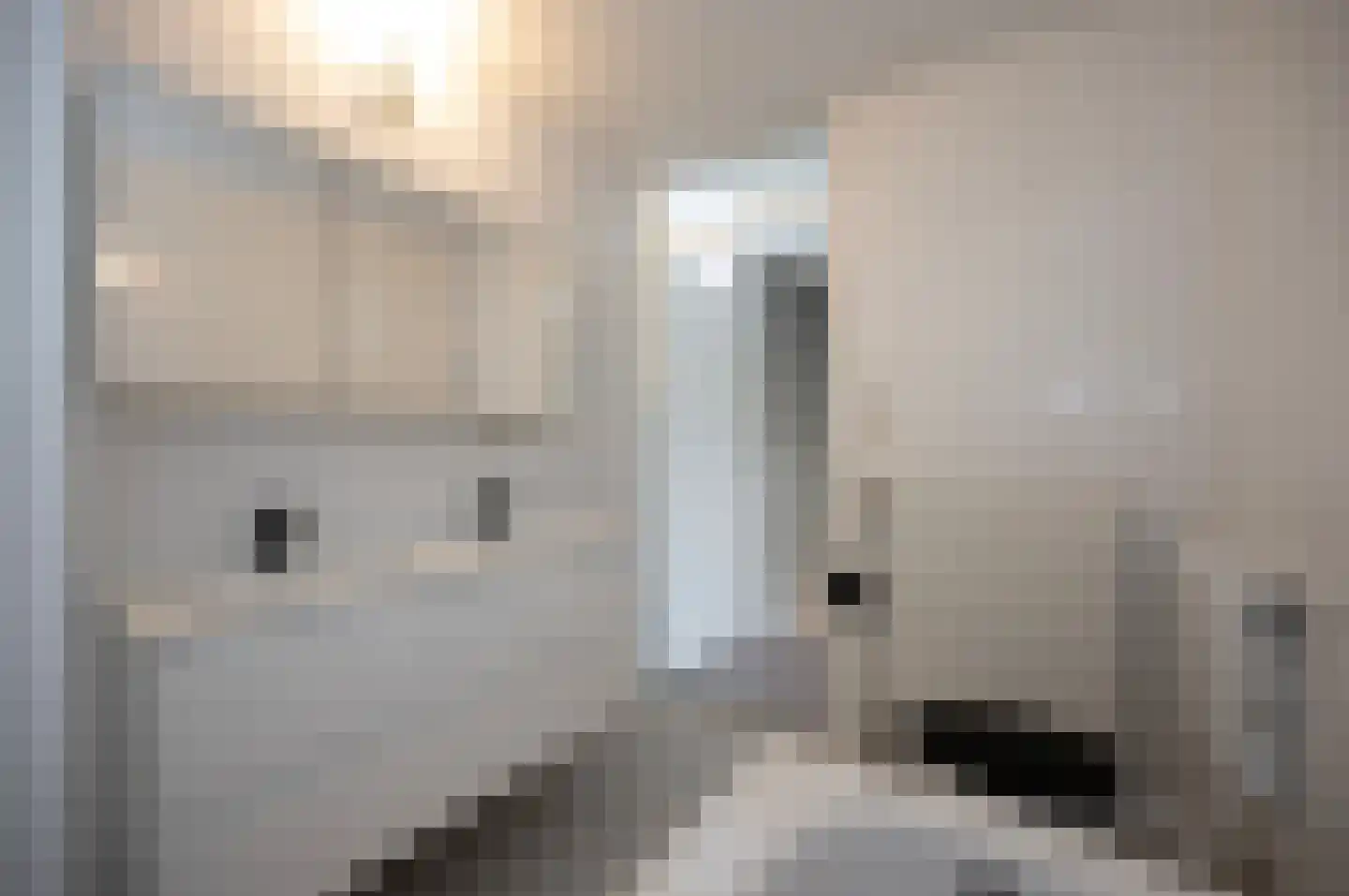 Holbeinstraat 14 Almere thumbnail 22