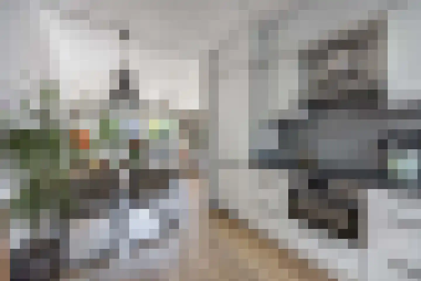 Holbeinstraat 161 Almere thumbnail 19