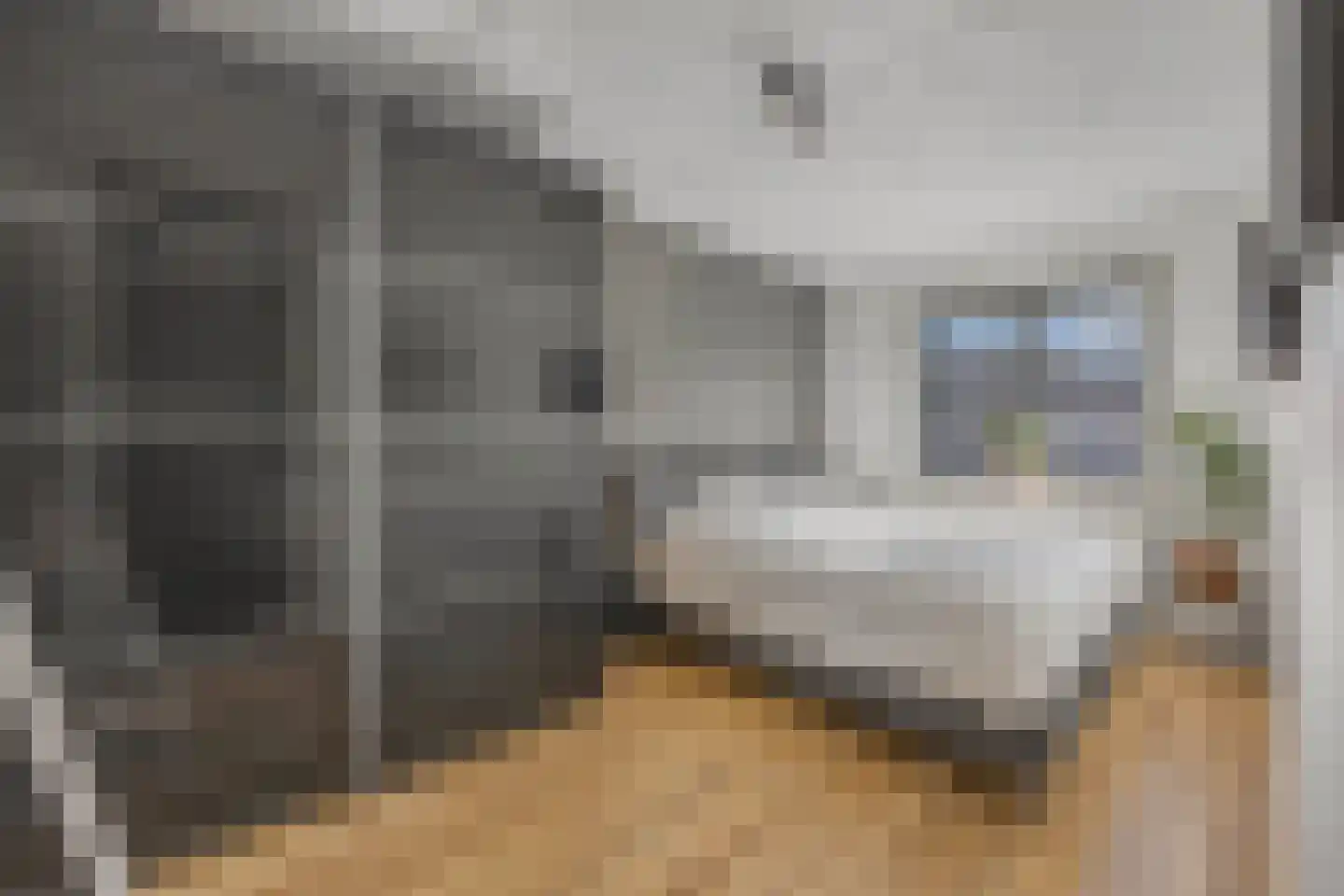 Holbeinstraat 161 Almere thumbnail 4