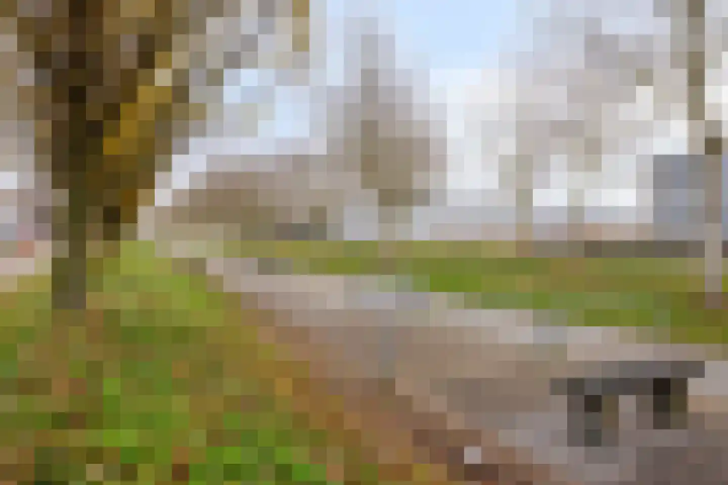 Holbeinstraat 171 Almere thumbnail 48