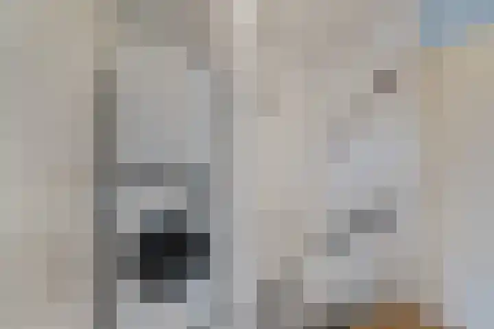 Holbeinstraat 19 Almere thumbnail 22