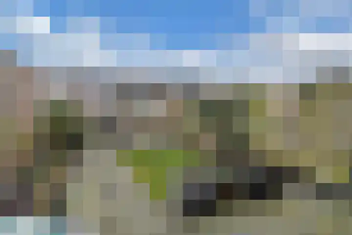 Holbeinstraat 19 Almere thumbnail 24