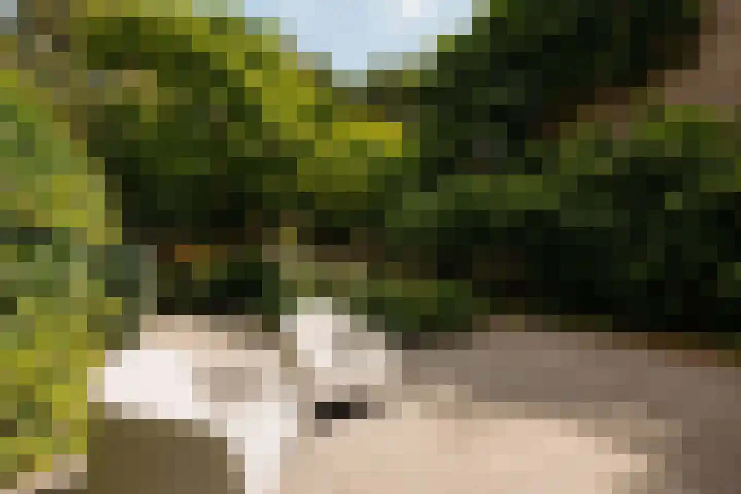 Holbeinstraat 3 H Amsterdam thumbnail 23