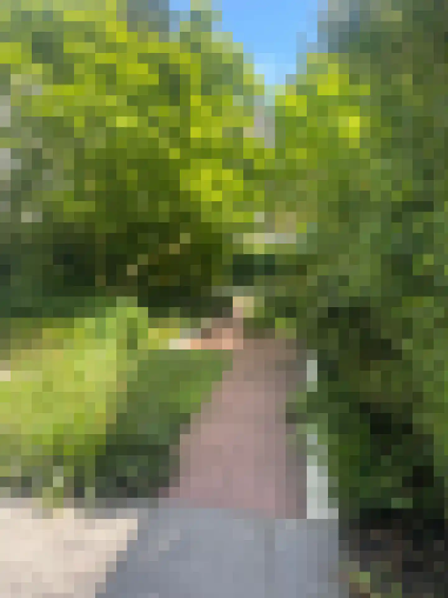 Holbeinstraat 3 H Amsterdam thumbnail 26