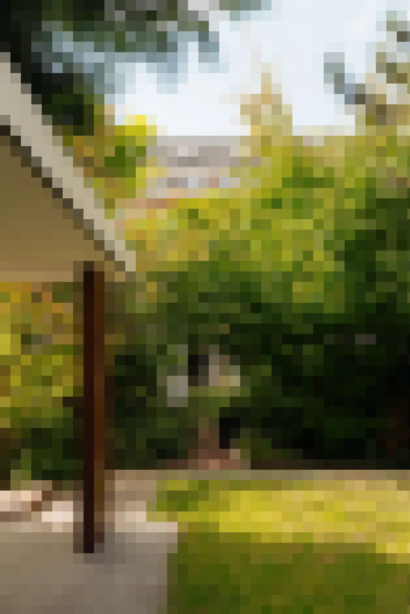Holbeinstraat 3 H Amsterdam thumbnail 30