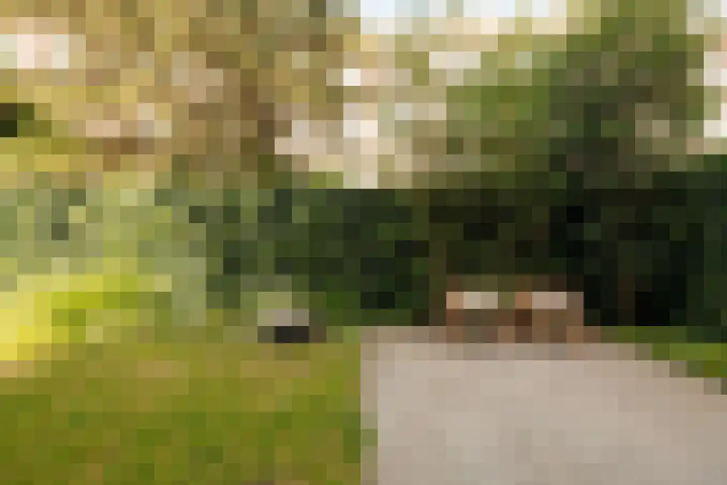 Holbeinstraat 3 H Amsterdam thumbnail 31