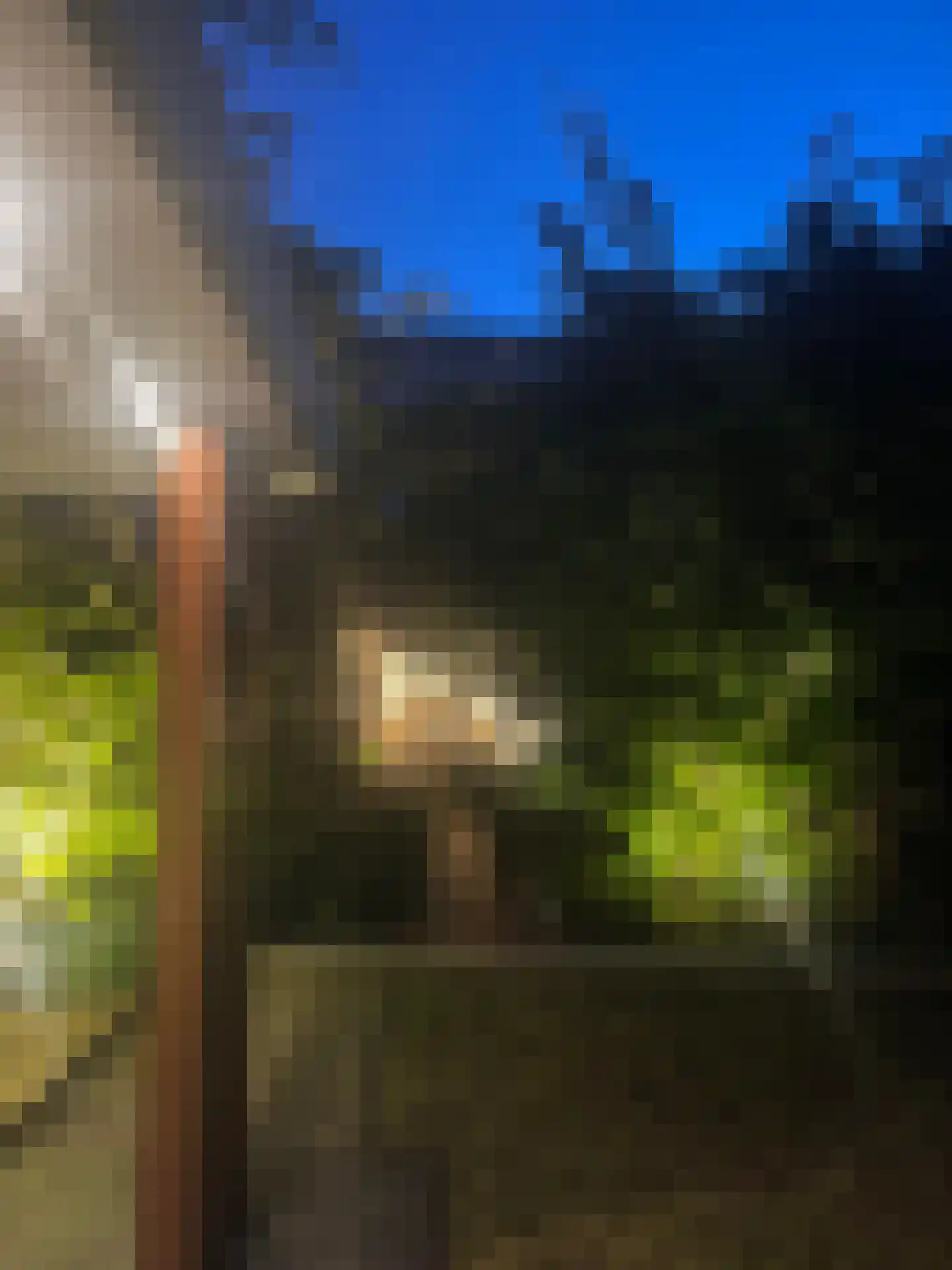Holbeinstraat 3 H Amsterdam thumbnail 35