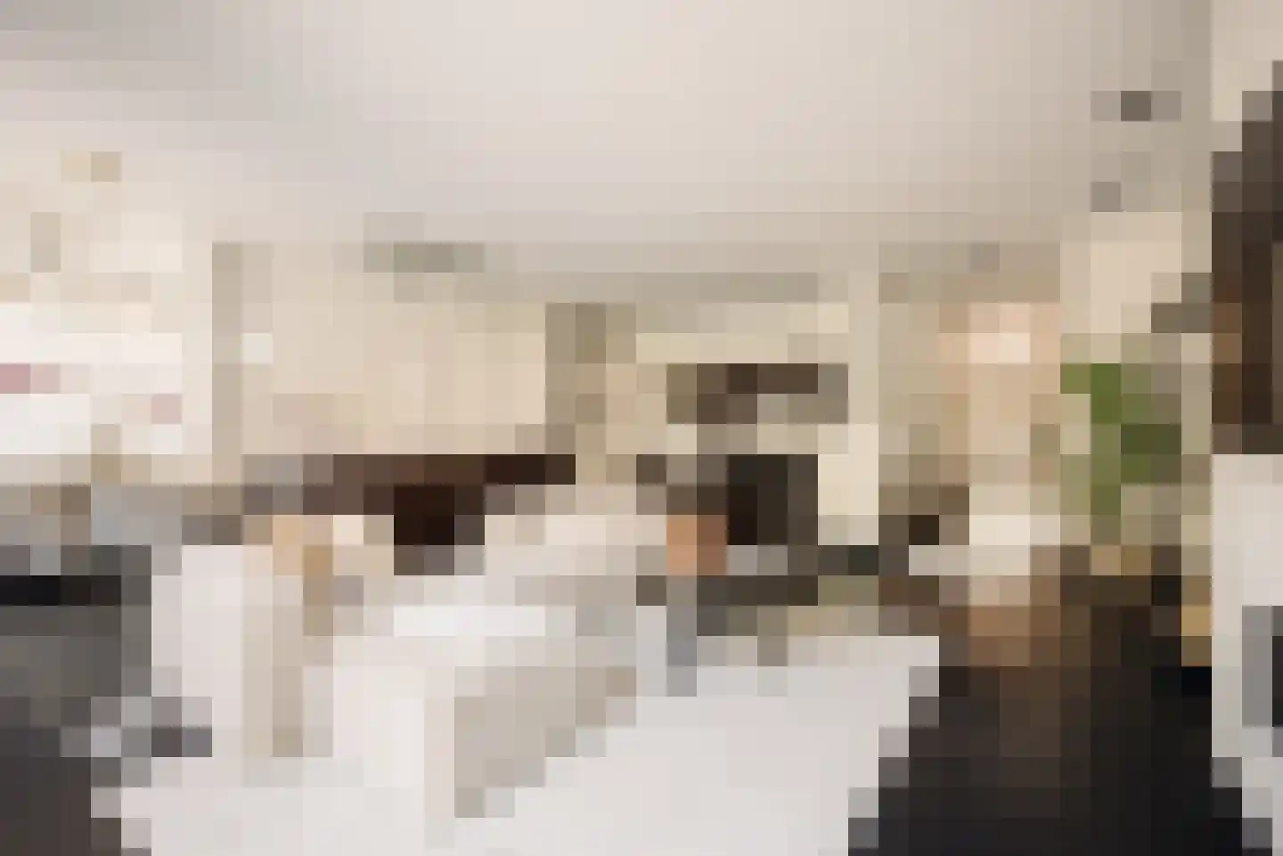 Holbeinstraat 3 H Amsterdam thumbnail 5