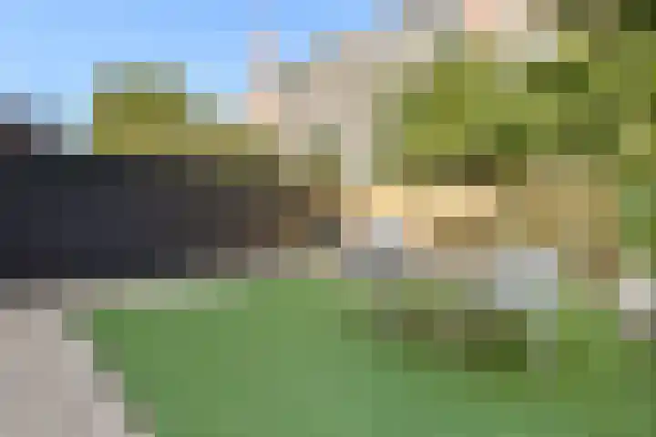 Holbeinstraat 39 Amsterdam thumbnail 11