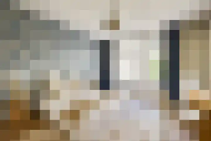 Holbeinstraat 39 Amsterdam thumbnail 14
