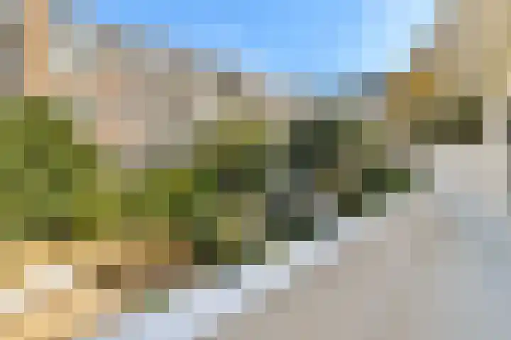 Holbeinstraat 39 Amsterdam thumbnail 16
