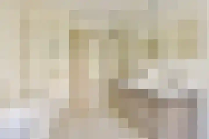 Holbeinstraat 39 Amsterdam thumbnail 18