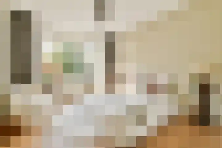 Holbeinstraat 39 Amsterdam thumbnail 19