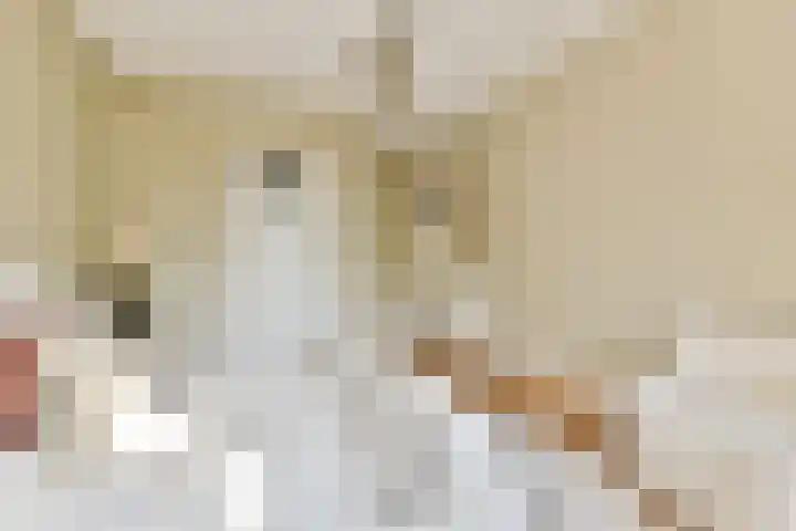 Holbeinstraat 39 Amsterdam thumbnail 20