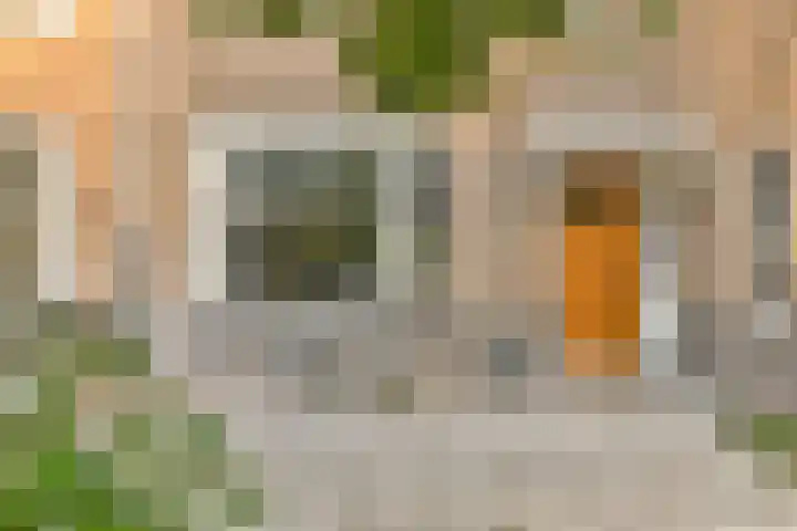 Holbeinstraat 39 Amsterdam thumbnail 35