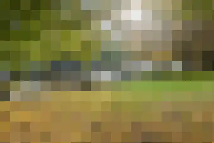 Holbeinstraat 39 Amsterdam thumbnail 37