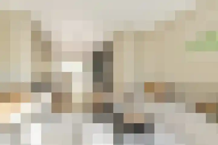 Holbeinstraat 39 Amsterdam thumbnail 5