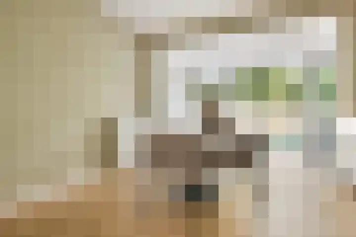 Holbeinstraat 39 Amsterdam thumbnail 6