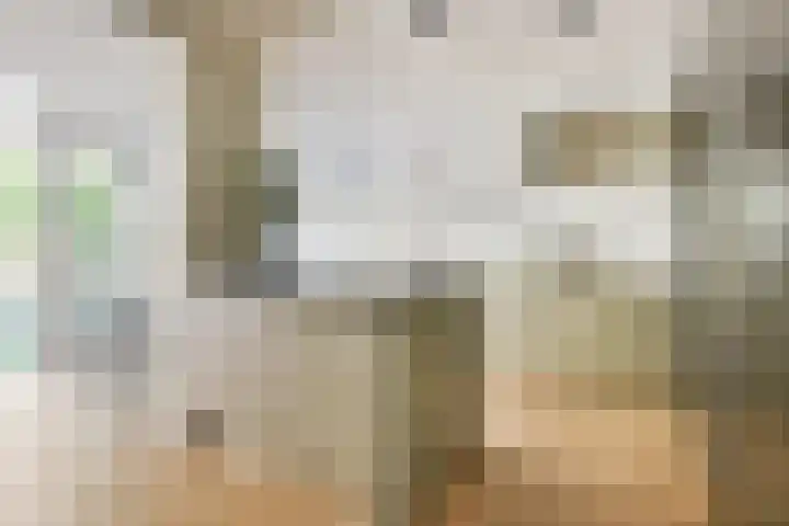 Holbeinstraat 39 Amsterdam thumbnail 7