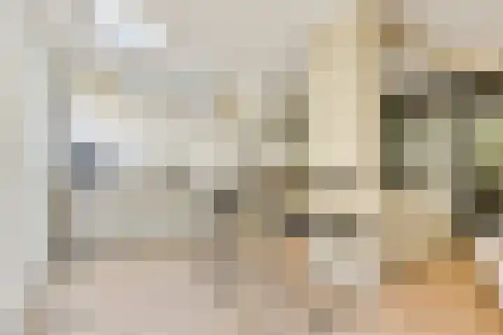 Holbeinstraat 39 Amsterdam thumbnail 8