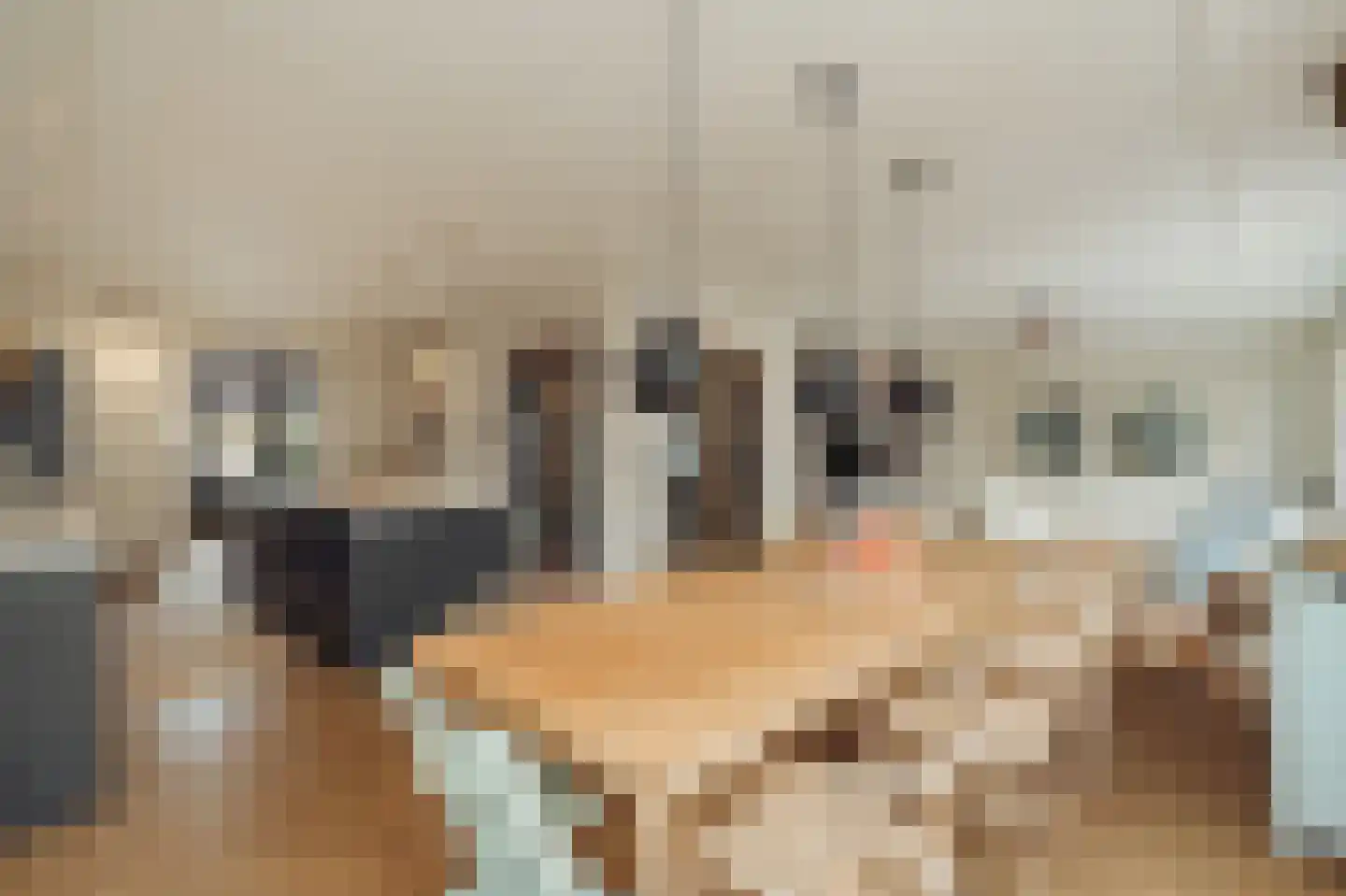 Holbeinstraat 4 1 Amsterdam thumbnail 10