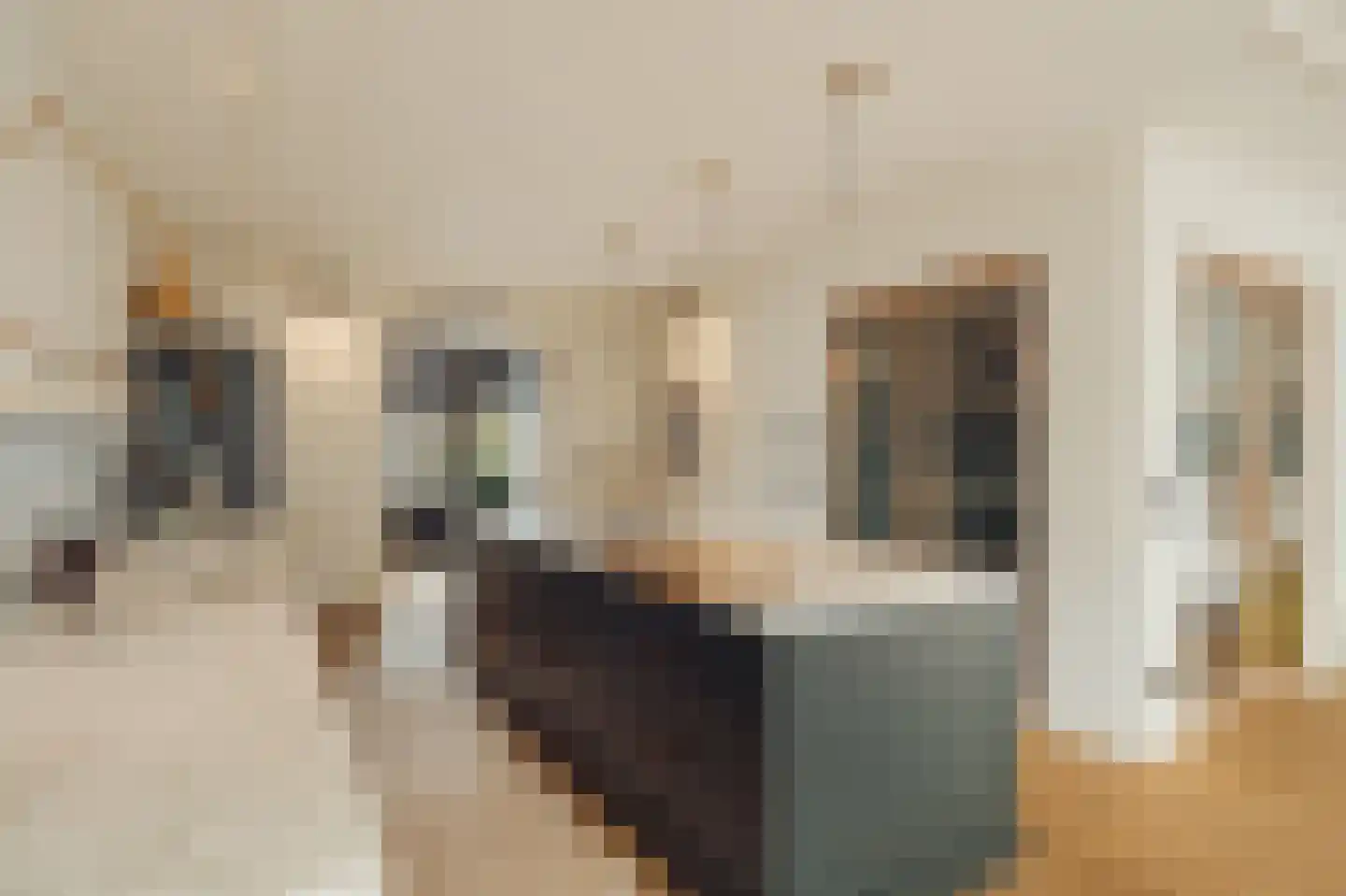 Holbeinstraat 4 1 Amsterdam thumbnail 11
