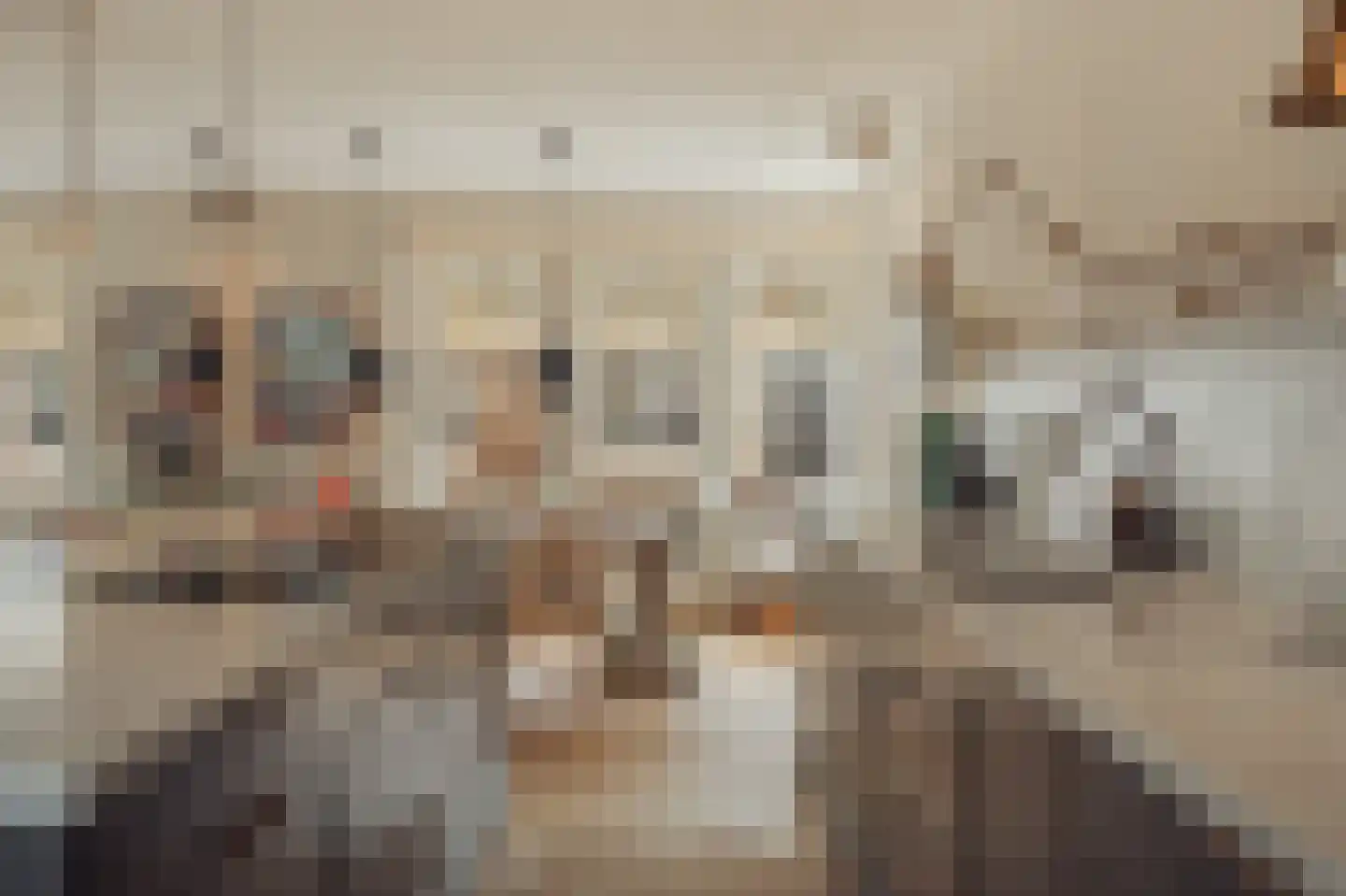Holbeinstraat 4 1 Amsterdam thumbnail 13