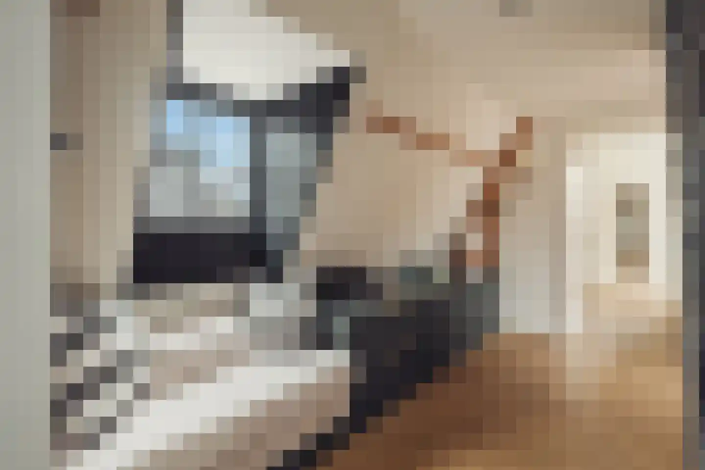 Holbeinstraat 4 1 Amsterdam thumbnail 44