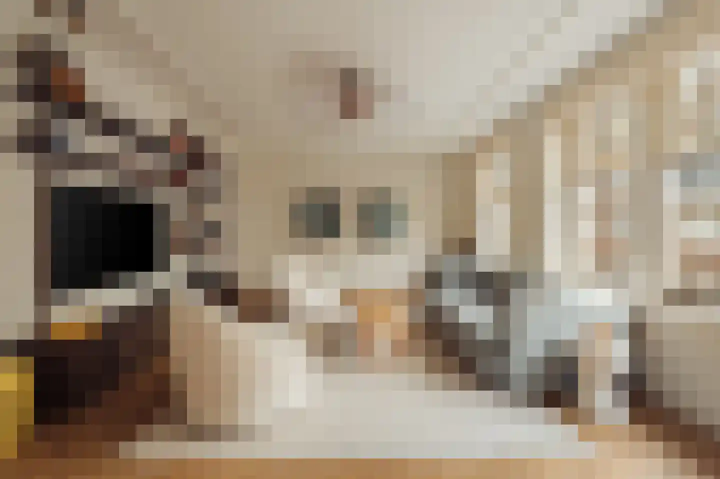 Holbeinstraat 4 1 Amsterdam thumbnail 5