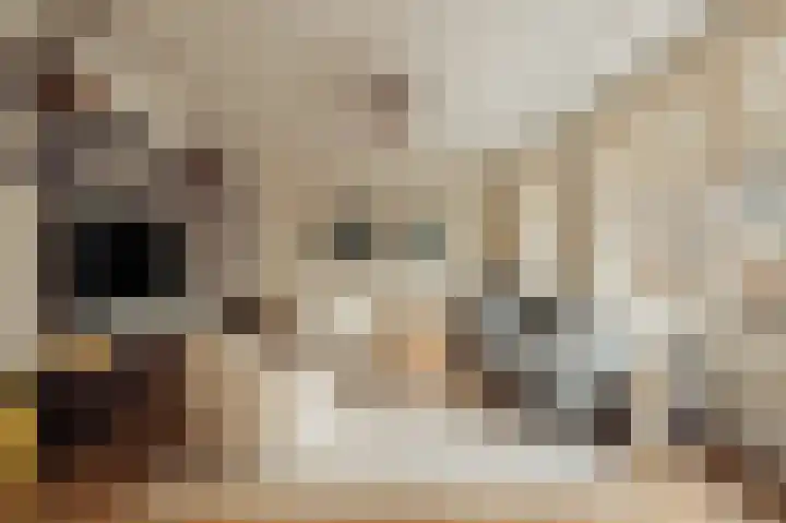 Holbeinstraat 4 1 Amsterdam thumbnail 5