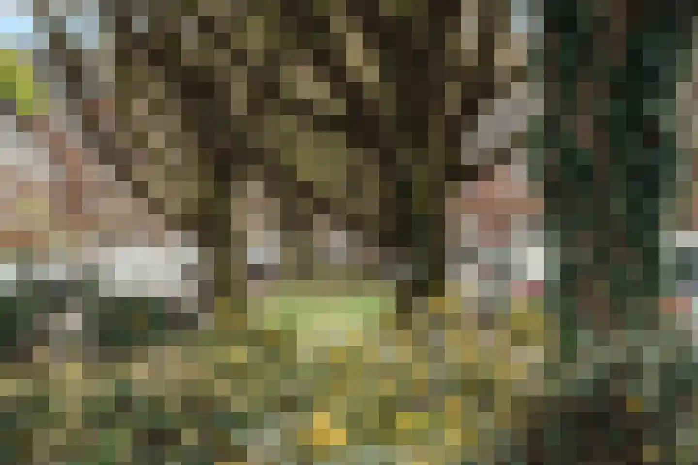 Holbeinstraat 4 1 Amsterdam thumbnail 63