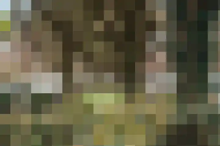 Holbeinstraat 4 1 Amsterdam thumbnail 63