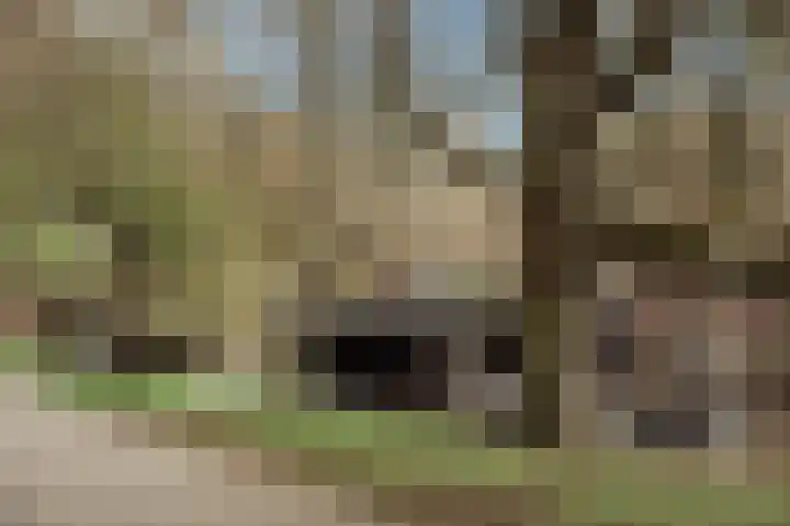 Holbeinstraat 4 1 Amsterdam thumbnail 67