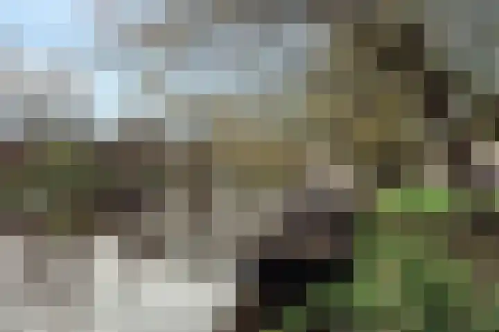 Holbeinstraat 4 1 Amsterdam thumbnail 68