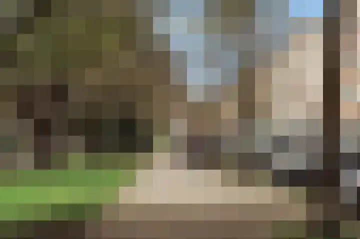 Holbeinstraat 4 1 Amsterdam thumbnail 69