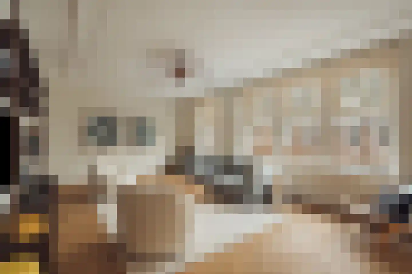 Holbeinstraat 4 1 Amsterdam thumbnail 8