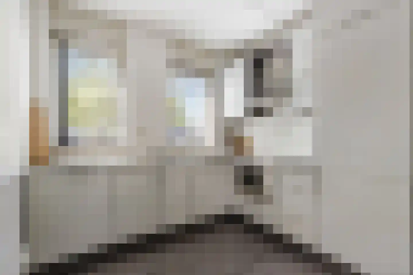 Holbeinstraat 47 Almere thumbnail 14