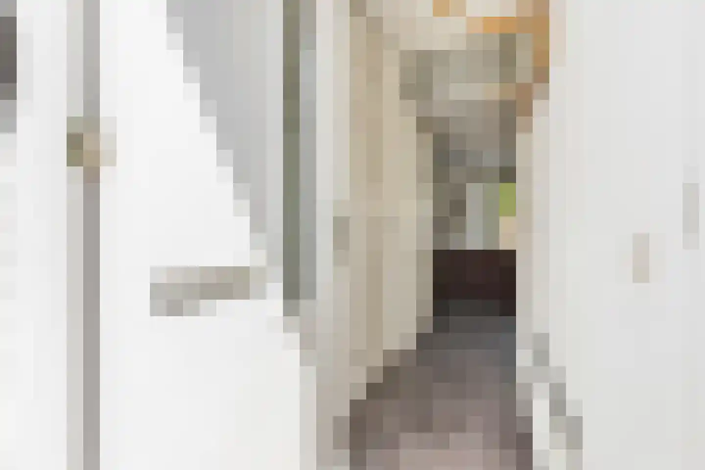 Holbeinstraat 47 Almere thumbnail 8