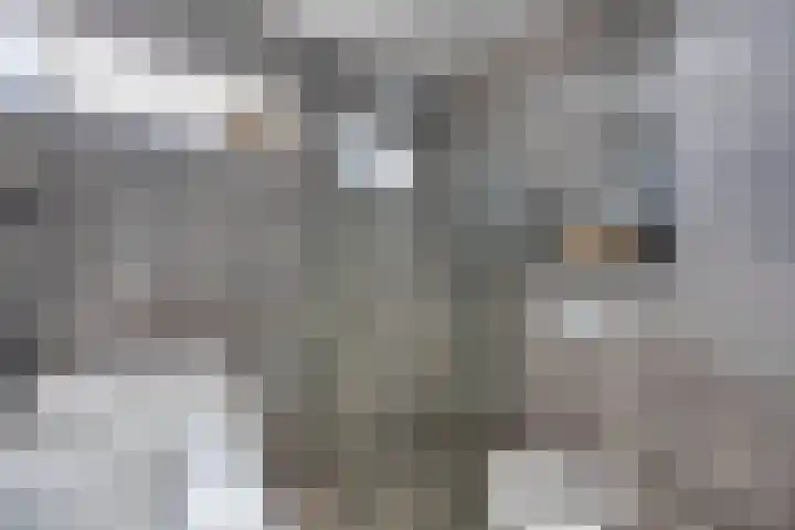 Holbeinstraat 7 Almere thumbnail 17