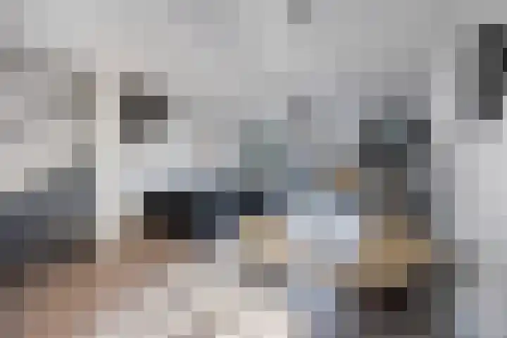 Holbeinstraat 7 Almere thumbnail 8